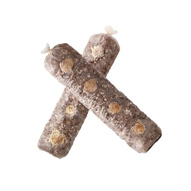 cultivated mushroom growing fit for cultivators