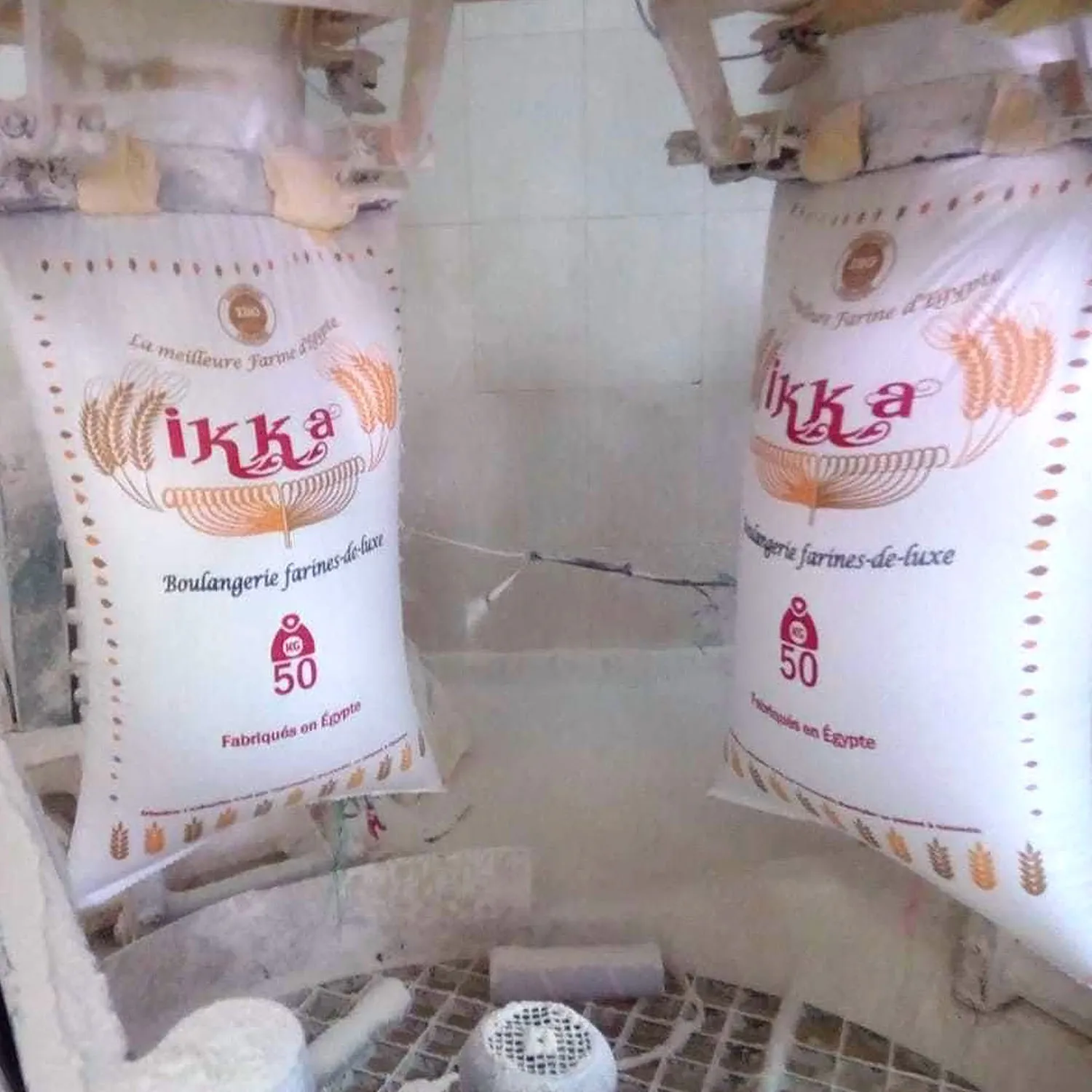 Ikka Brand Bread Wheat Flour 50 kg T55 Fresh Atta Chakki Low Price Flour for Bakery Use Made in Egypt