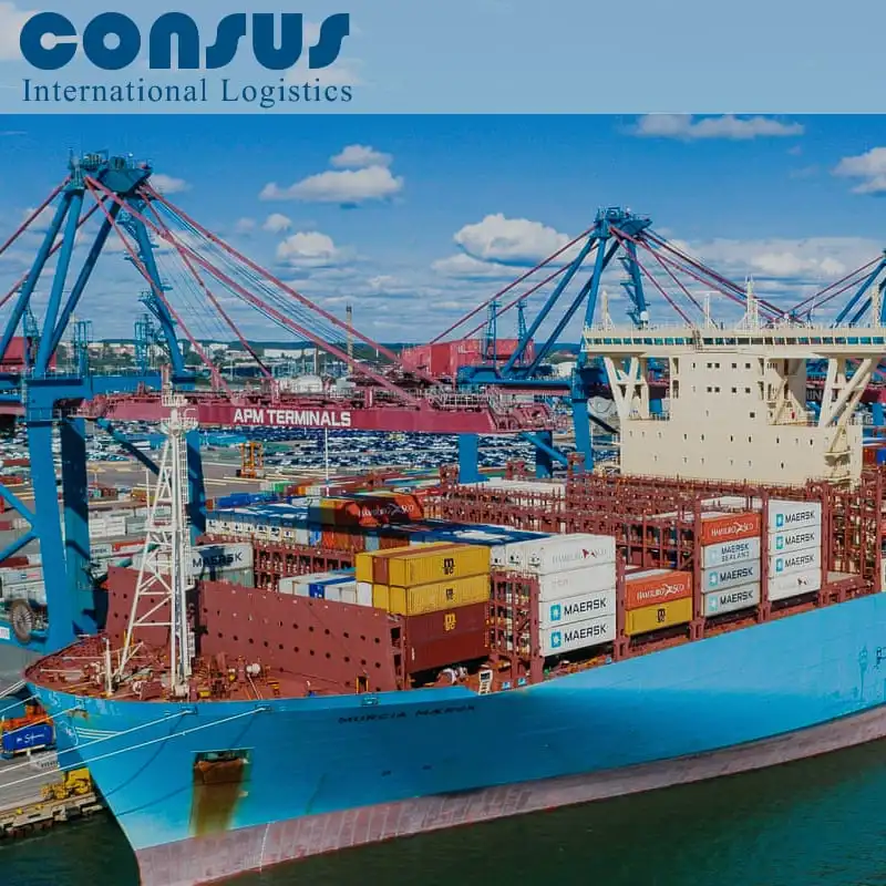 SITC 20/40ft FCL Sea Shipping from Shenzhen China to Manila/Cebu Philippines