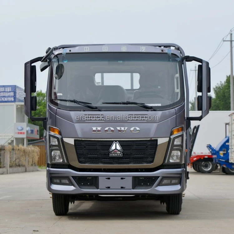 New SINOTRUK HOWO 4x4 4x2 6-Wheel  Diesel Manual Light Segment Rear Camera Euro 2 Left Sale Column Pate Cargo Truck for Sale