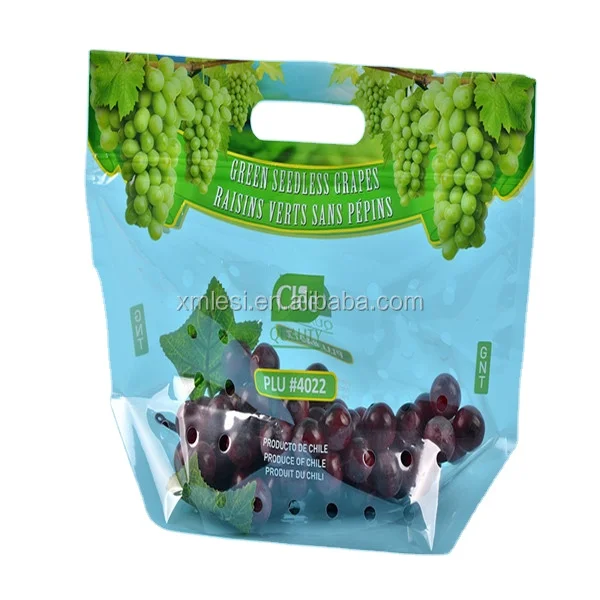 recycle Fruit Vegetable bag Custom printed grape packaging plastic PP ziplock bag with hole punch