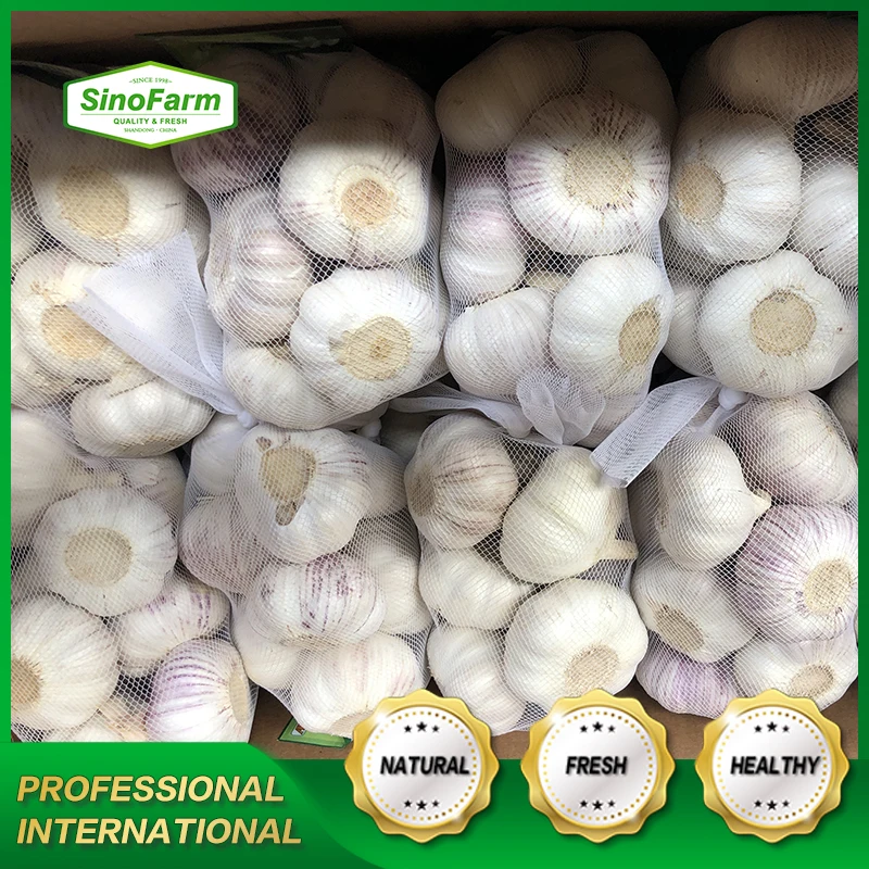 Customized Garlic Mesh Bags Fresh Red Garlic Cardboard Garlic Planter