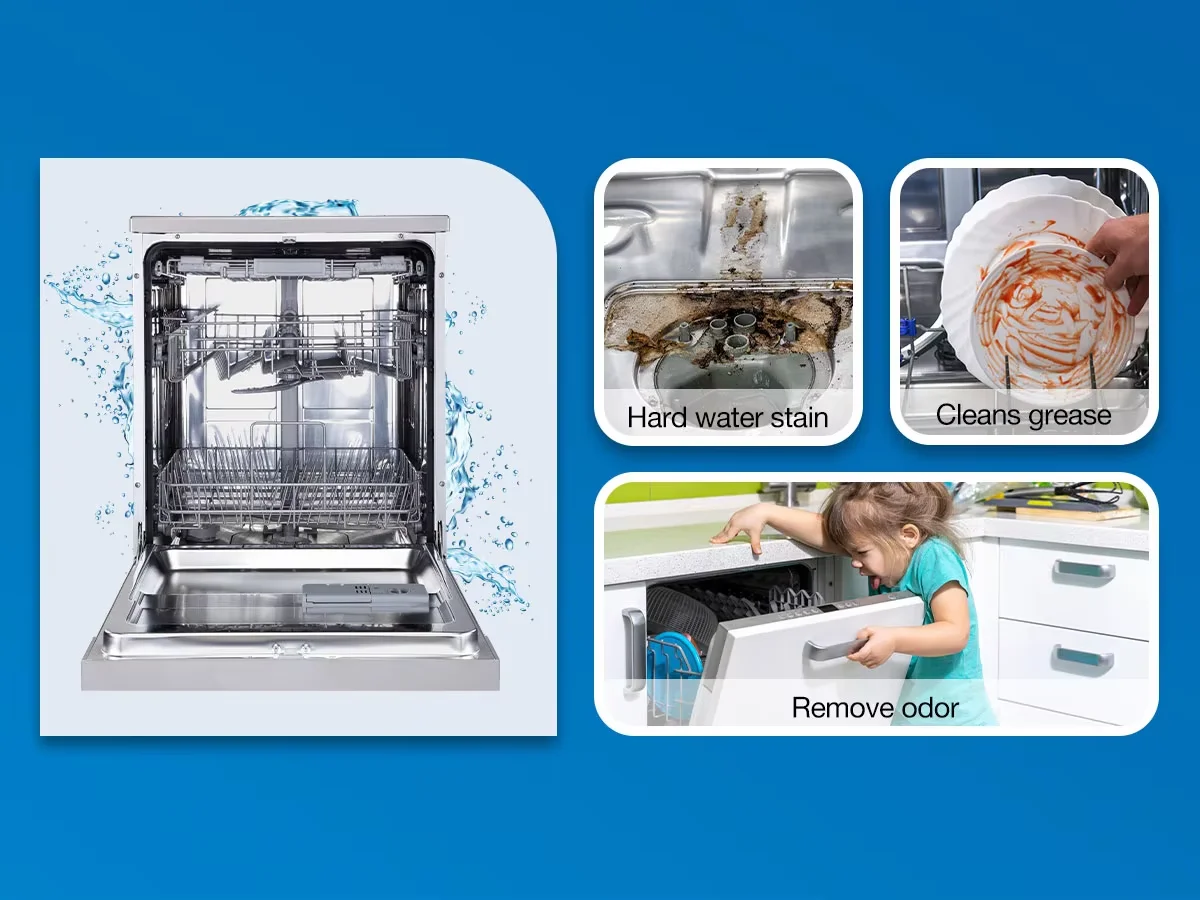 Customized Eco-Friendly Biodegradable Dishwasher cleaning tablets Wholesale  For Kitchen Dishwasher cleaner