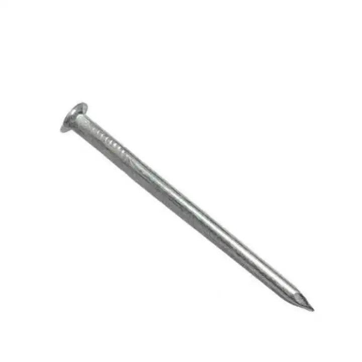Zhixin Hardener Galvanised Galvanized Iron Nail Steel Concrete Nails