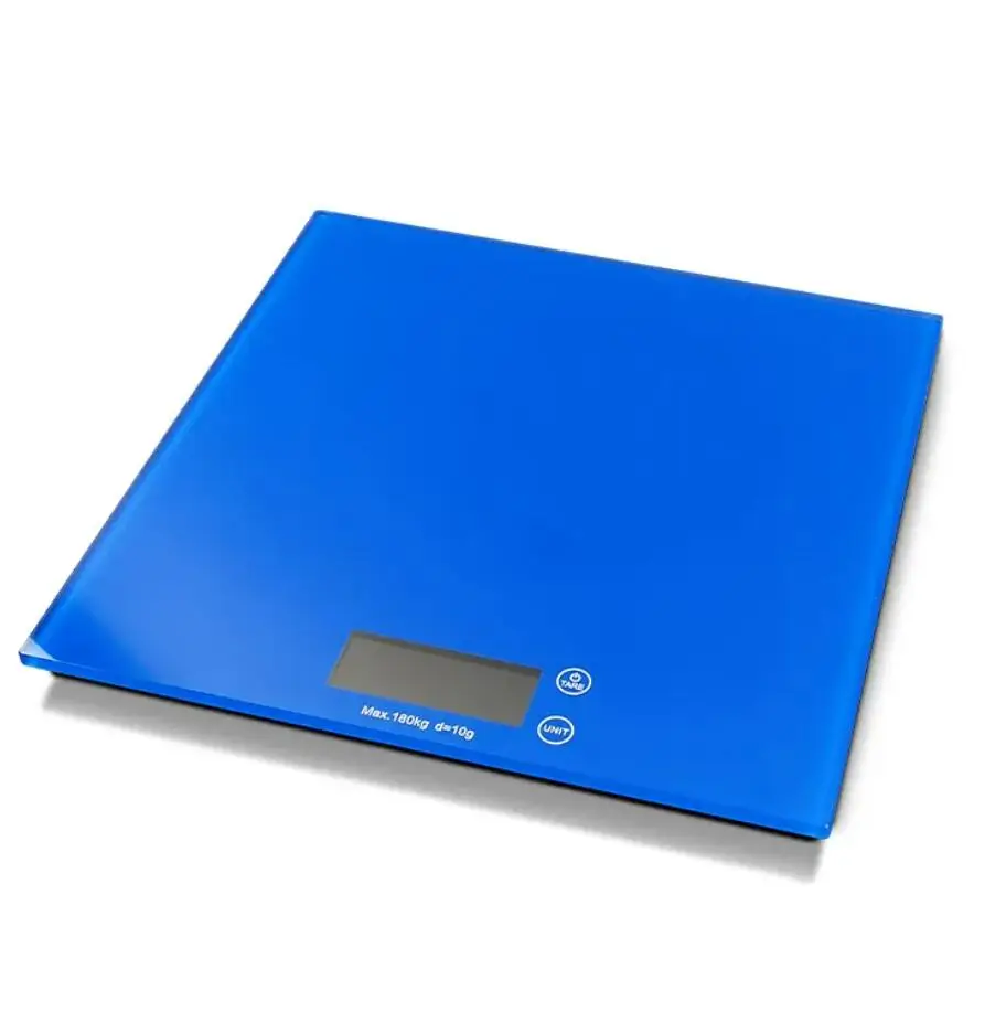 electric scale (5).jpg