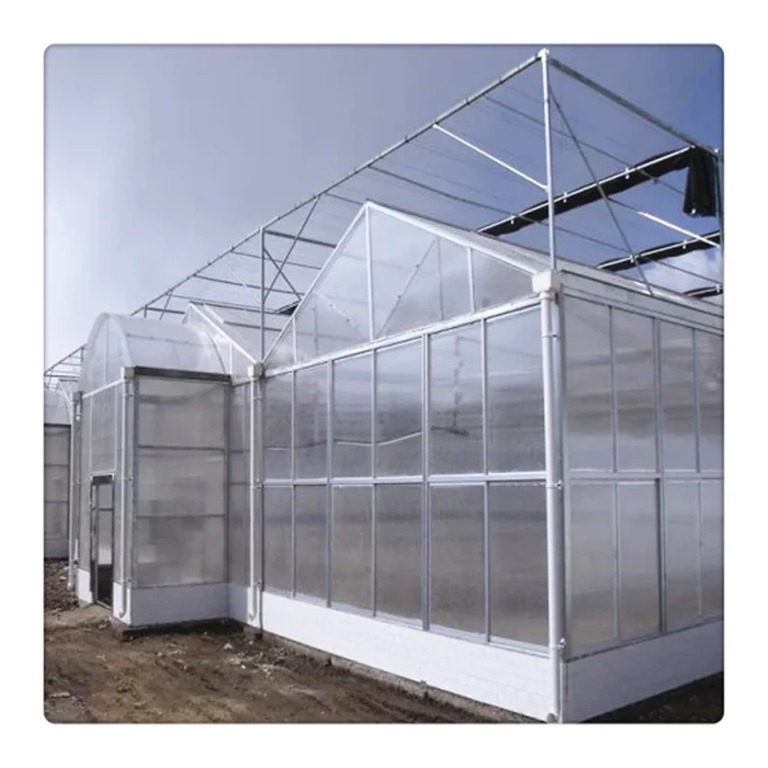 Galvanized Steel Simple Structure Agriculture Vegetables Flower Polycarbonate Greenhouse
