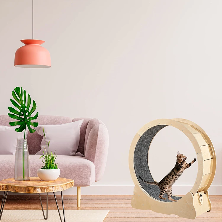 Household Interactive Tread Exercise Running Wheel Climbing Frame Fiberboard Treadmill Circle Track Cat Toys
