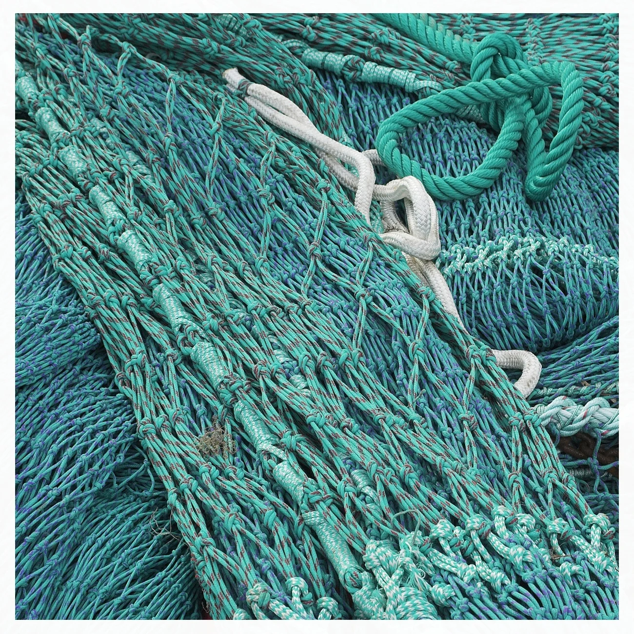 
HDPE Braided Twine Knotted Fishing Net Large PE Fish Net High Strength 