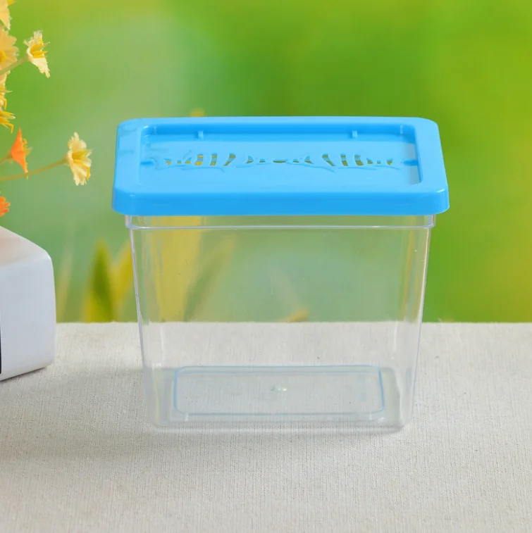 Transparent Mini goldfish tank small size resin Aquarium plastic insect box