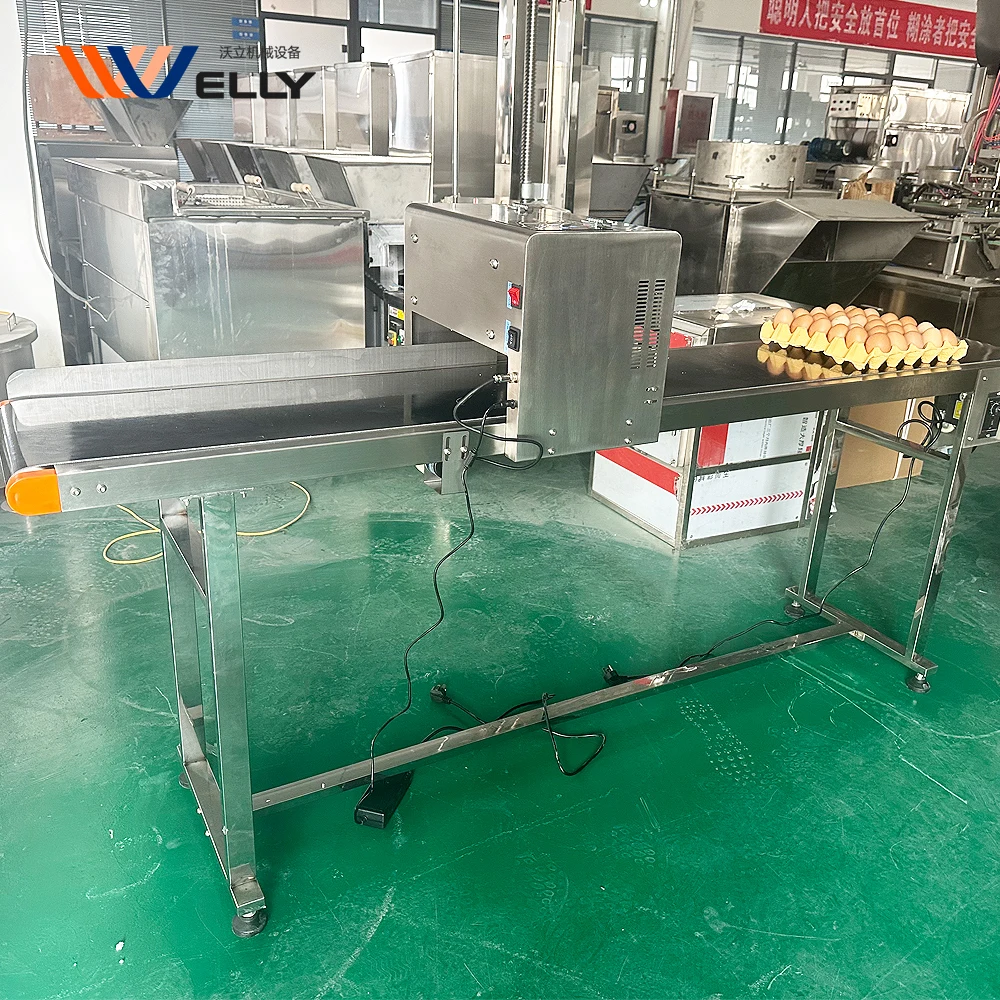 Chinese Top quality Quail Egg Inkjet Printer Duck Egg Expiration Date Printing Machine