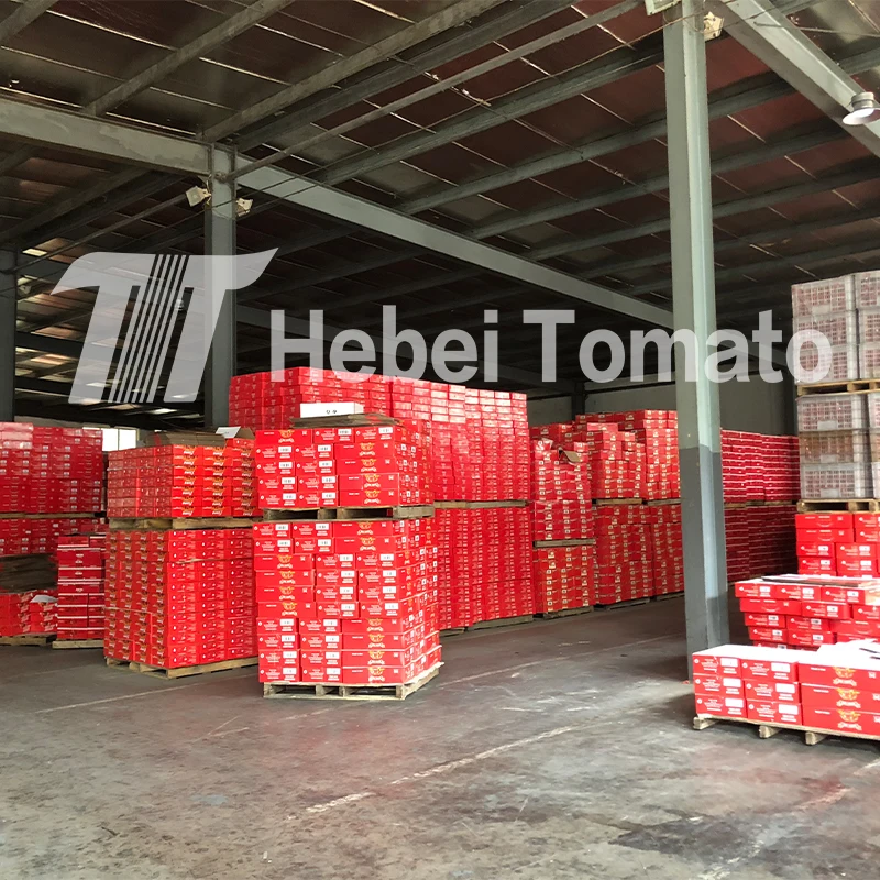 Popular Tomato Paste Supplier The Best Quality Tomato Paste in Any Different Sizes Tomato Paste