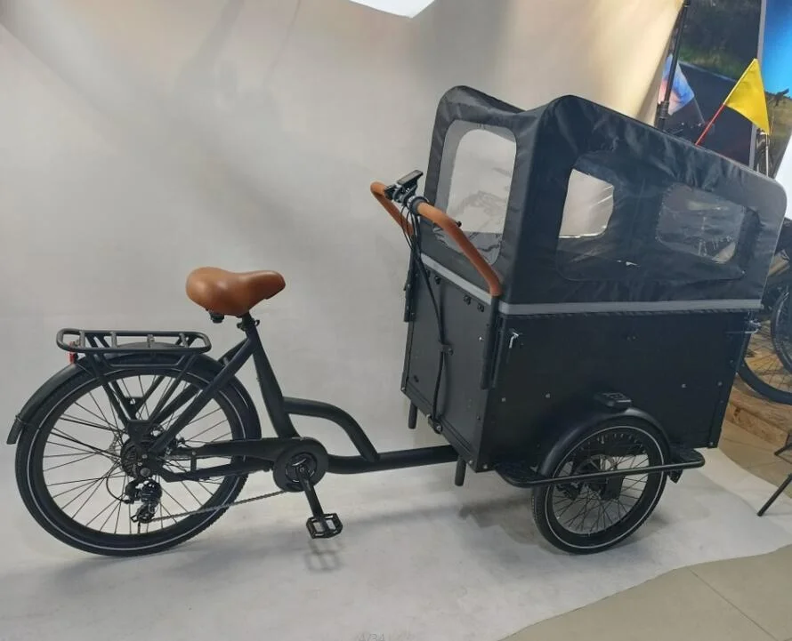 350W 36V 14AH electric pedicab 3 wheel electric bike tricycle with front wooden box