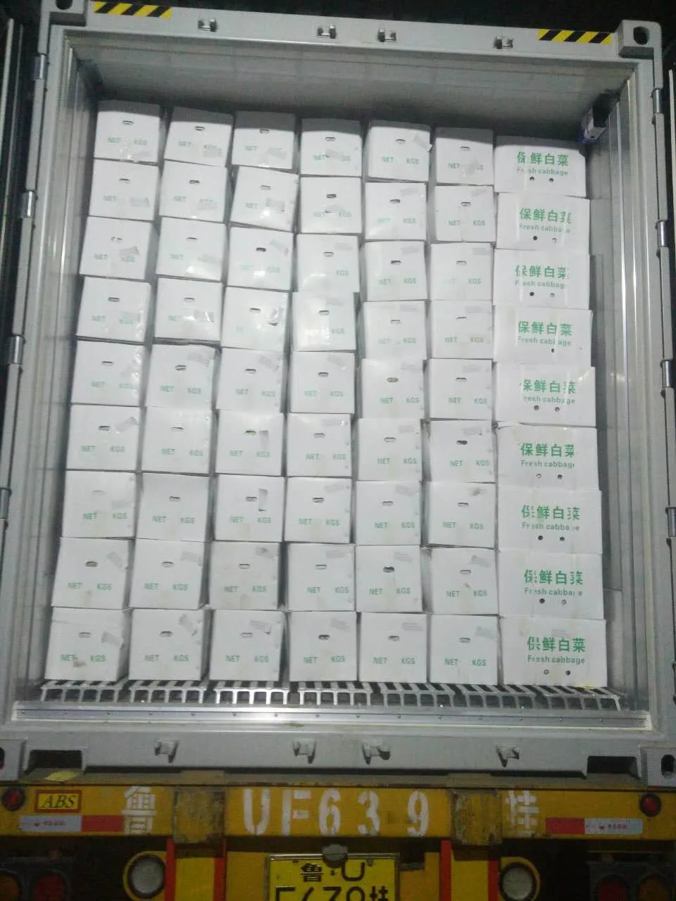 Chinese factory supply Fresh organic vegetables Radish White Green horse radish and seeds price from China for wholesale