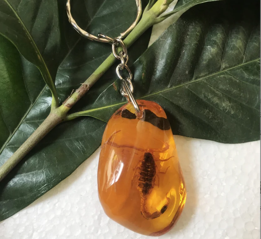 Custom unique handmade amber color real scorpion resin insect pendant