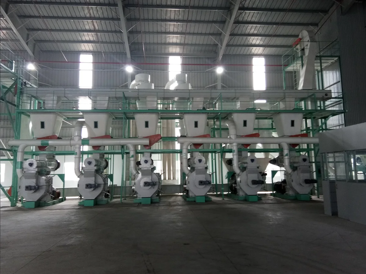6mm/8mm 1t 2t 3t 4t 5t 6t 8t 10t/h Full automatic Industrial factory price CE Certificated complete wood pellets lines price