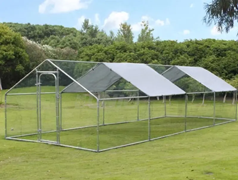 Very Durable 6M Home Use Small Design Chicken House Cage For 1000 Chickens Coop