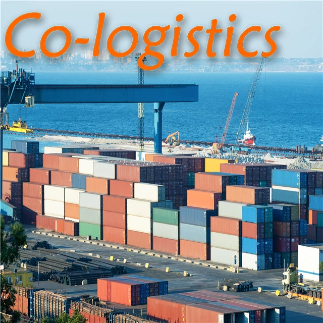 DDP Sea Shipping Cargo Freight From Shenzhen Guangzhou Yiwu China to UK Door to Door