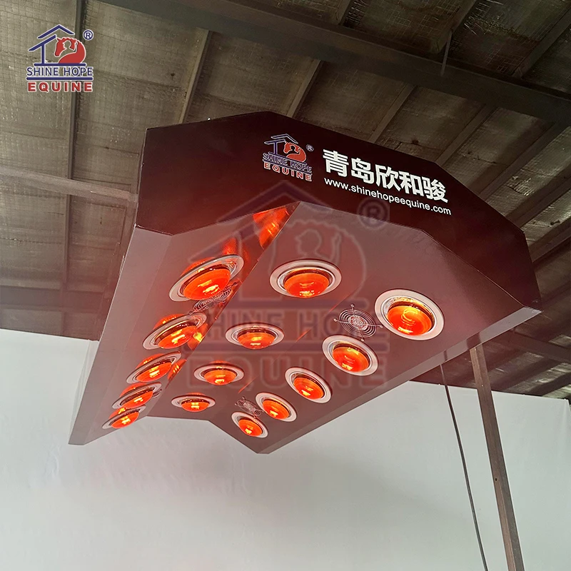 Equine Solarium Systems for Horses Health