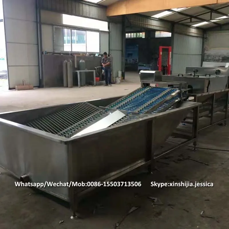 Big capacity commercial stainless steel automatic poultry chicken goose  salted duck egg cleaner