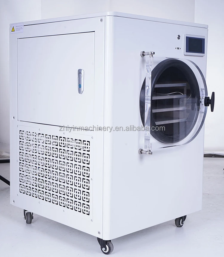 Multifunctional Small Fruit Freezing Machine Household Laboratory Vacuum Lyophilization Machine