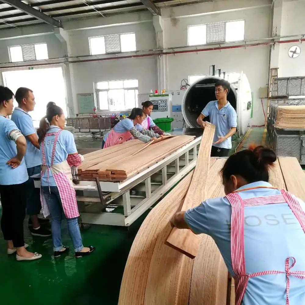 Radio Frequency Wood Veneer Dryer Machine RF Vacuum Drying Kiln For Sale