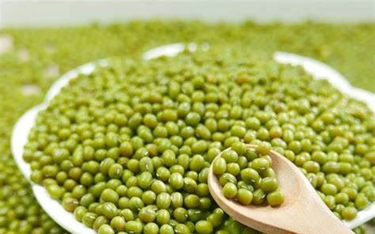 Vietnam Organic green mung beans 100% natural high grade vigna beans for sprouting