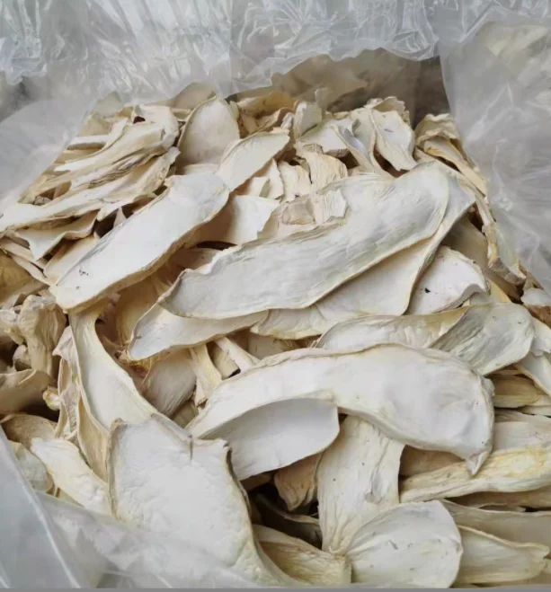 100% Pure raw Pleurotus eryngii DRY mushroom china dried they king oyster mushroom stem