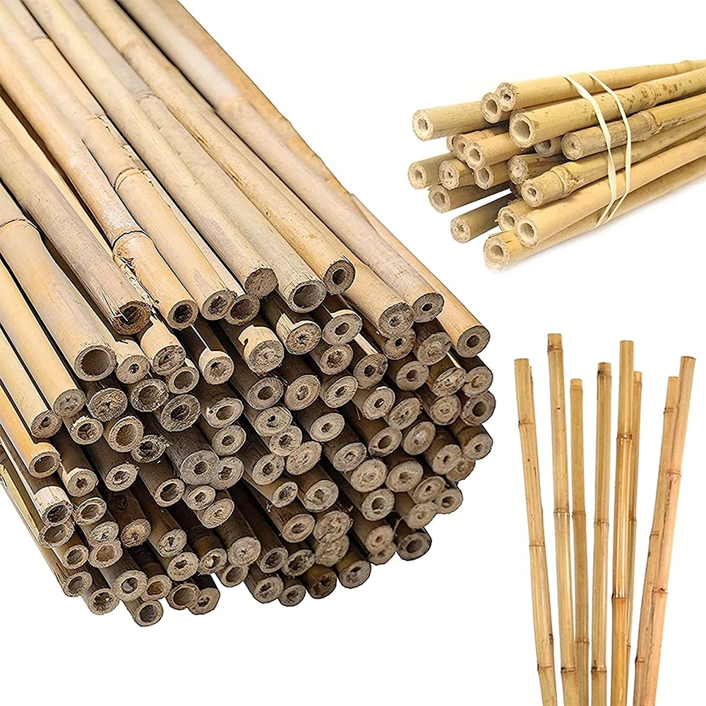 Factory Hot Sale Natural Bamboo Raw Materials Bamboo Pole Stakes for Horticulture Plantation Support