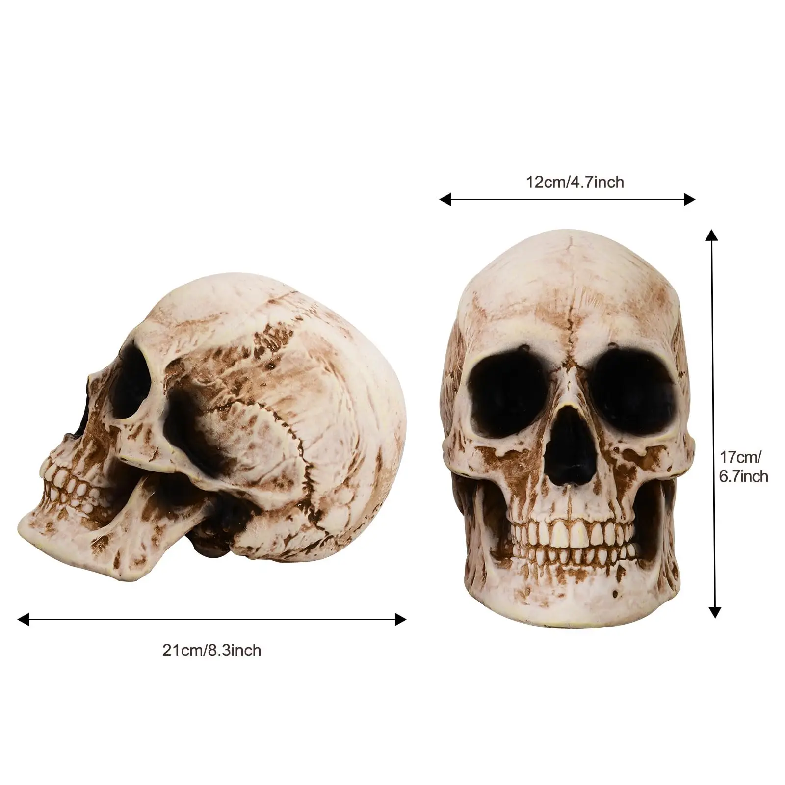 PartyGears Life Size Halloween Skulls Head Decor Realistic Looking Skulls Human Skeleton Head Skull Halloween Home Decoration