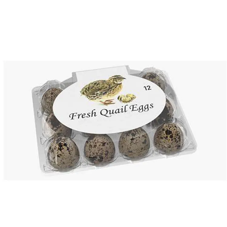 
Factory Clear Carton Blister Quail Egg Tray Plastic 