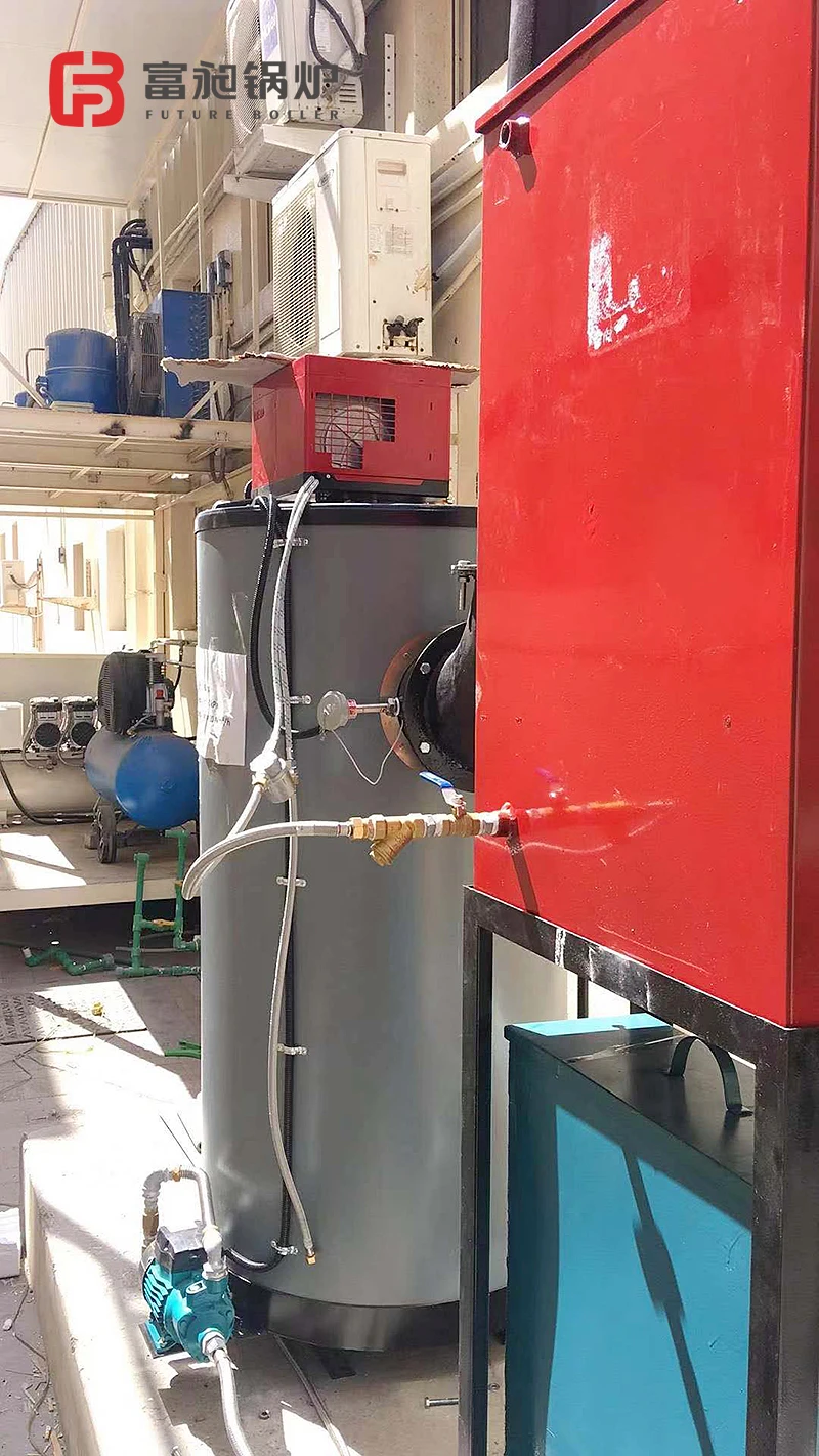 Small Diesel Steam Boiler for Juice Production Line