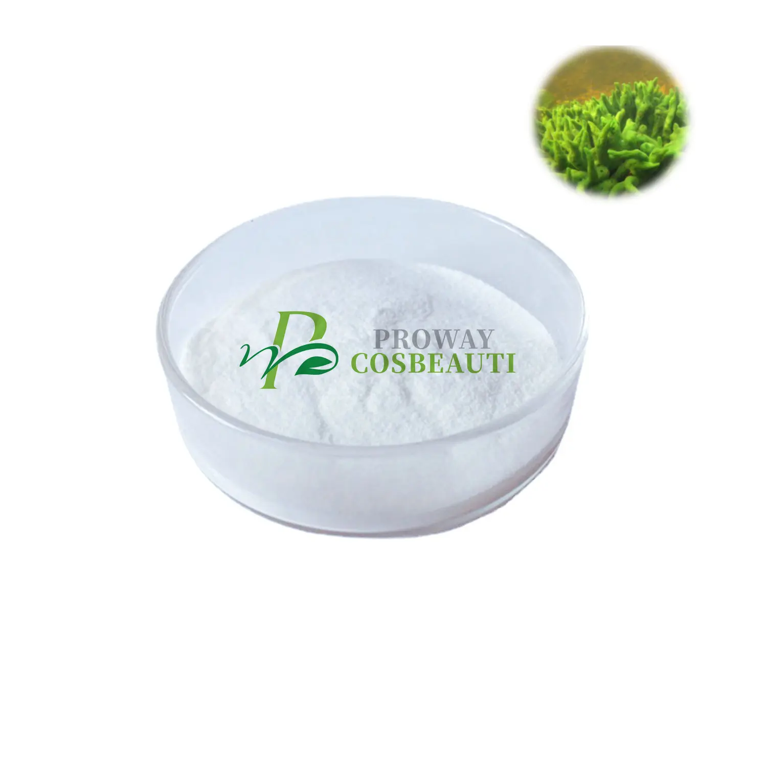 Bio green proway Songilla powder for beauty salon skin therapy