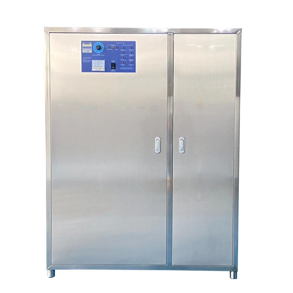 BNP manufacturer SOZ-YOT-50G 10L oxygen ozone generator for air disinfection pool bottled water medical wastewater treatment