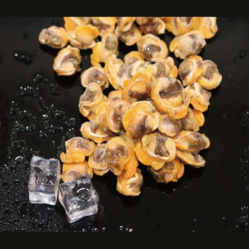 
Seafood Delicious Healthy IQF Frozen Arkshell Meat Shellfish 