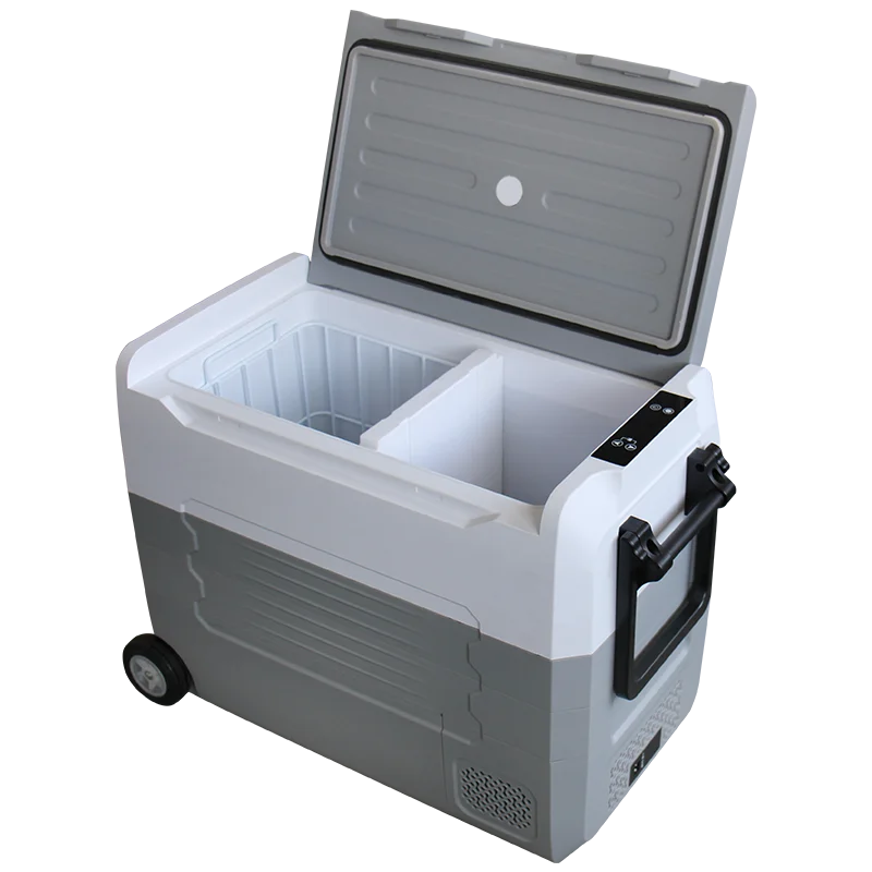 DC12/24 V Прямая продажа с завода автомобильный холодильник портативный для небольшого автомобиля и компрессор