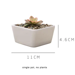 Competitive Price Triangle shape Succulent Planter Pot White Modern Decorative Desktop plant pot