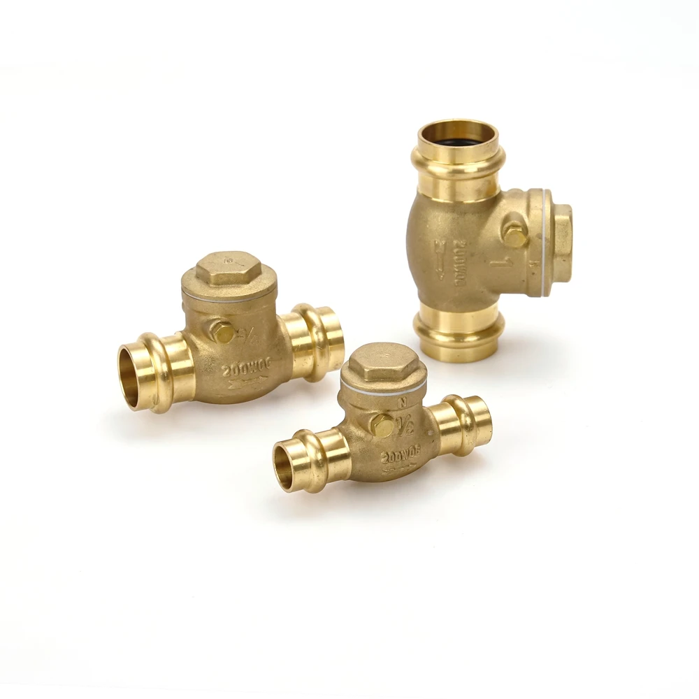 OEM ODM Chinese factory Press Check Valve Lead Free Brass Valve