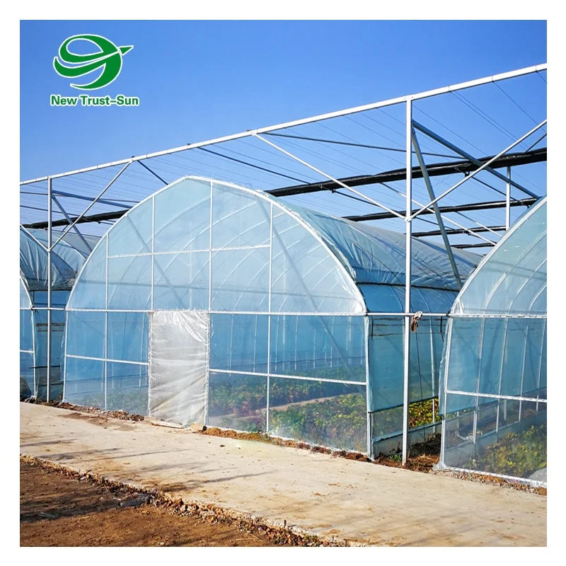 
Low Cost High Quality Tunnel Commercial Used Aquaponic Single-span Greenhouses 