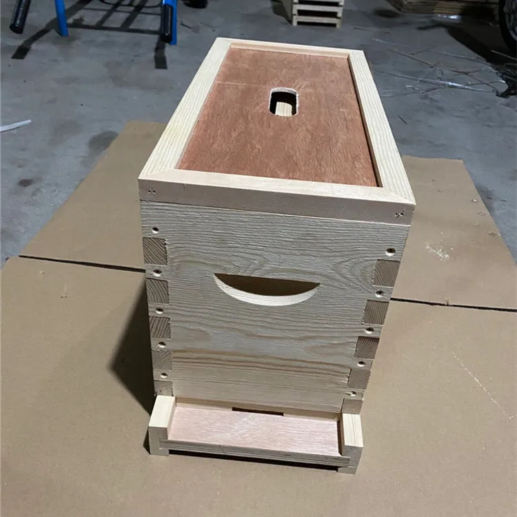 Hot sale apiculture equipment beehive beekeeping Nuc beehive with 5 frames for Queen bee