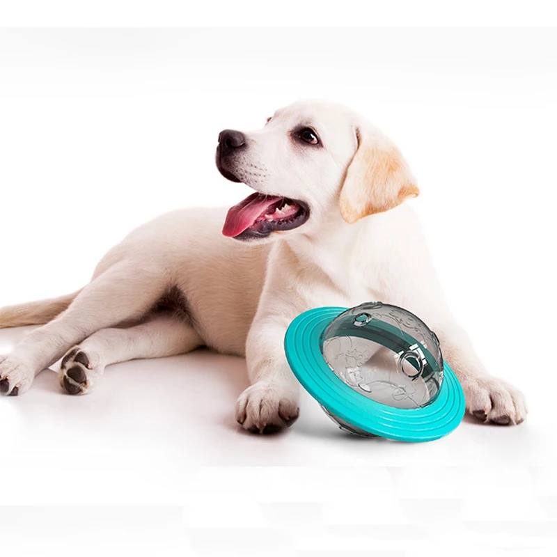Improve Intelligence Pet Chasing Chewing Playing Pet Dog Cat Food Feeder Ball Toy