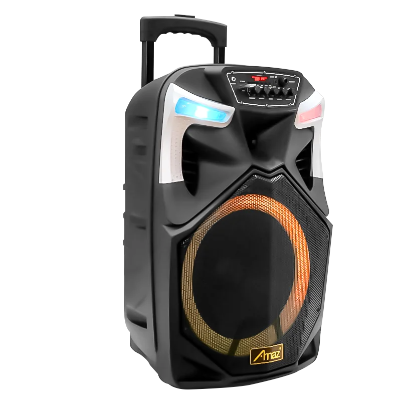 AMAZ 12 Inch New Design Portable Speaker with USB/FM/SD card/BT/LED Display/Remote Control