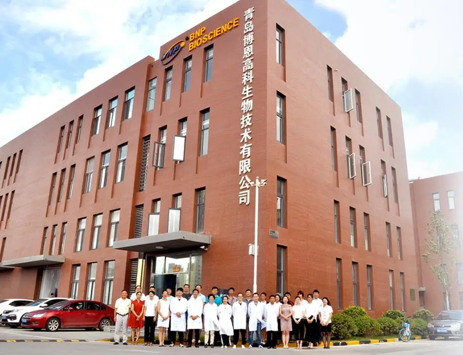 Top Grade 100% Purity  Dried Lemon Juice Powder