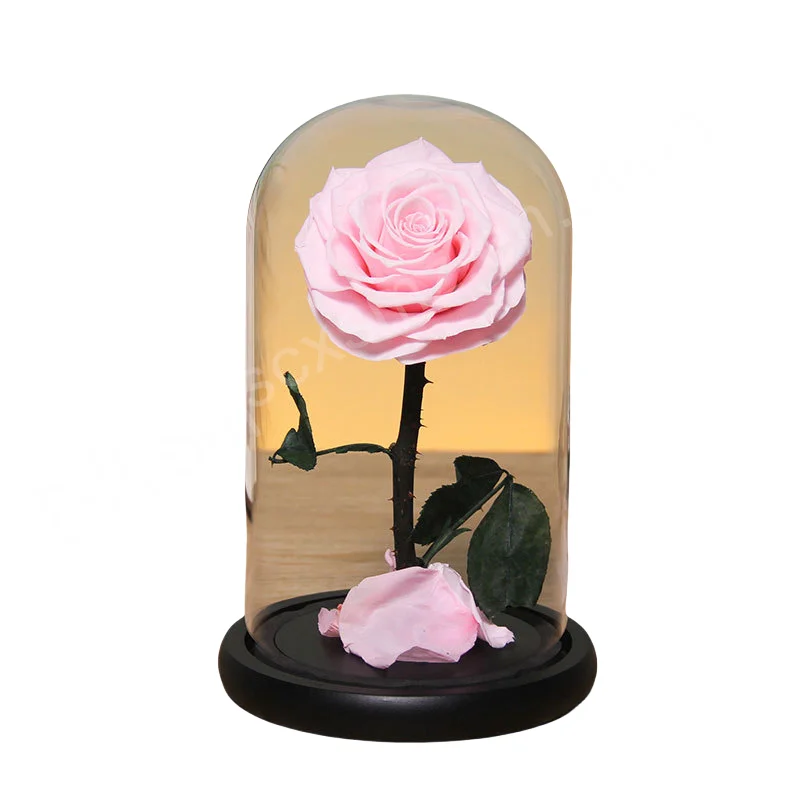 Factory Directly Supply 2024 Hot Selling Eternal Rose Morthers Day Preserved Flower Forever Roses In Glass Dome Led
