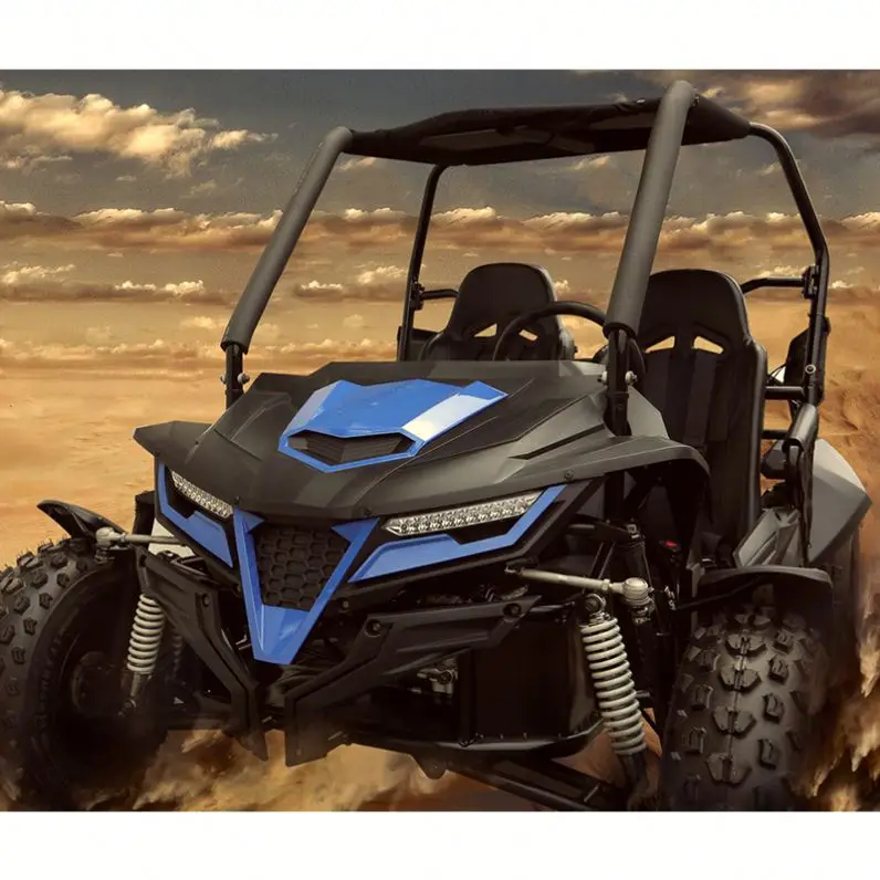 Trail Блейзер производство прочный шасси 1100cc 2-местный багги для езды по песку