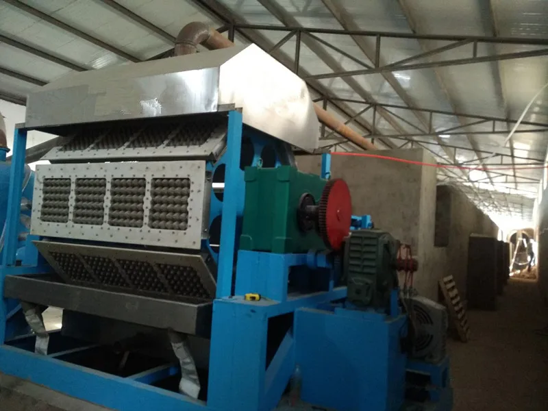 Egg Container Making Machine