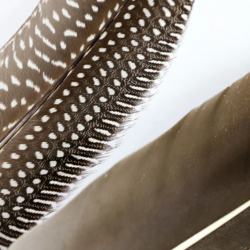 Factory Wholesales Quill Dip Pen Calligraphy Pen