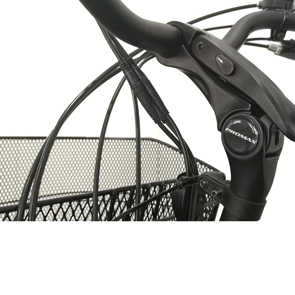 Модный досуг брюки карго 250 Вт Мотор 3-х колесный Электрический трехколесный велосипед для продажи Электрический грузовой Грузовой Велосипед