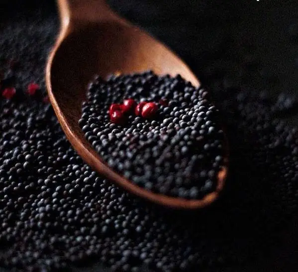 Hot selling mustard seeds edible black granulated spice premium white/yellow/black mustard seeds