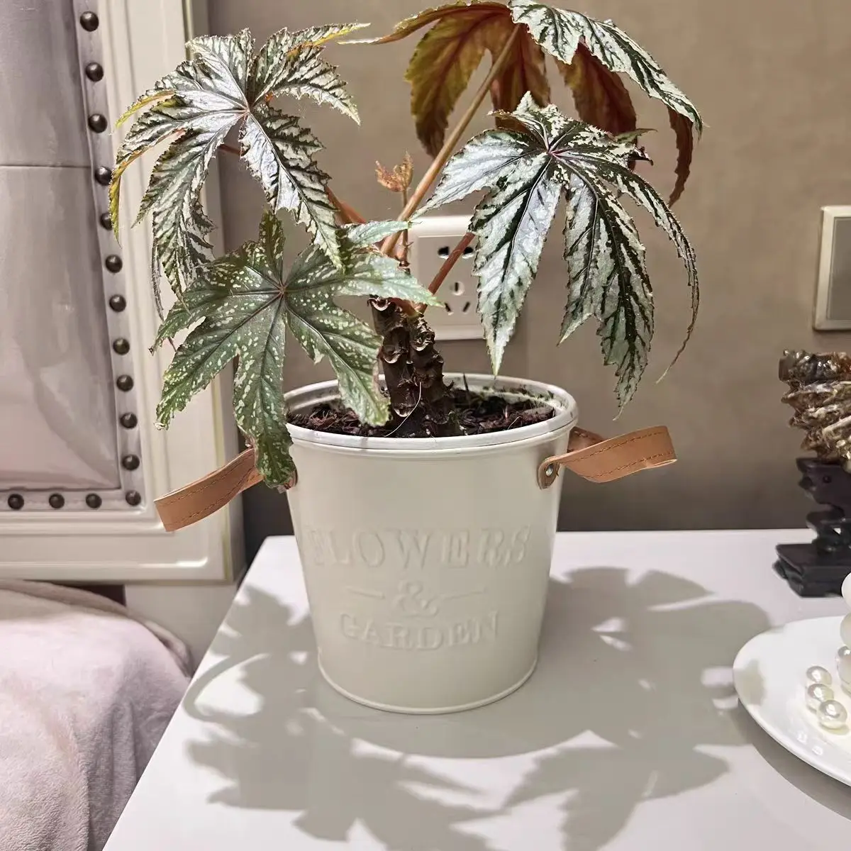 Farmhouse Style Home Decoration Metal Container Bucket Planter with Handles Garden Flower Pot Decor