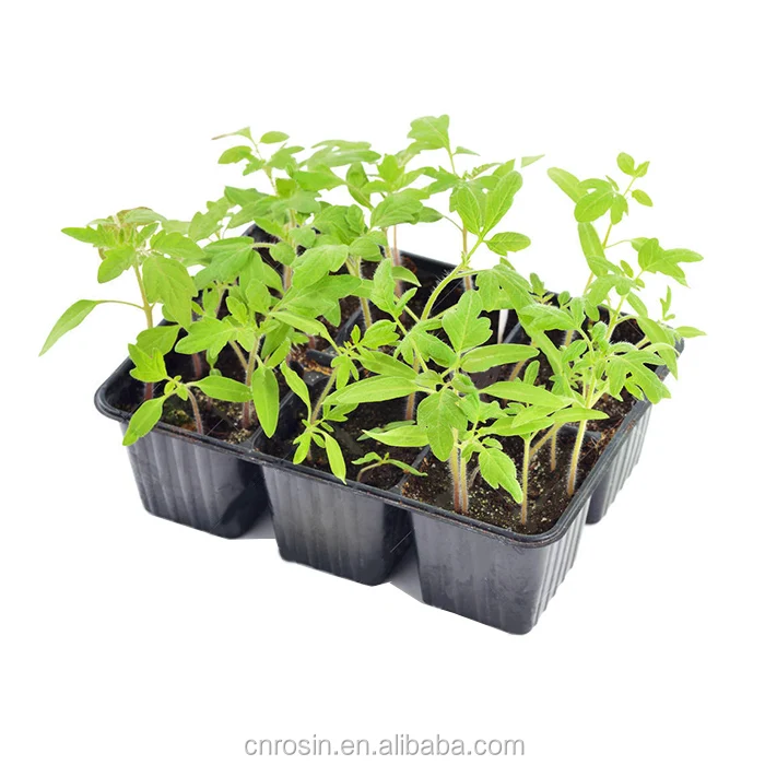 Custom heavy duty plastic polystyrene PVC forestry vacuum forming seedling tray guangzhou 72 105 162 cell seedling tray for sale